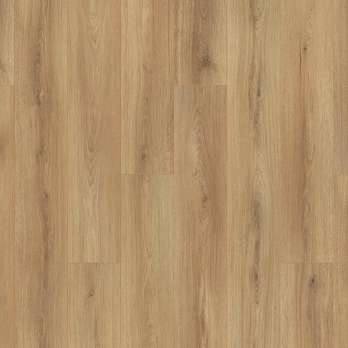 OTIUM Amber taupe