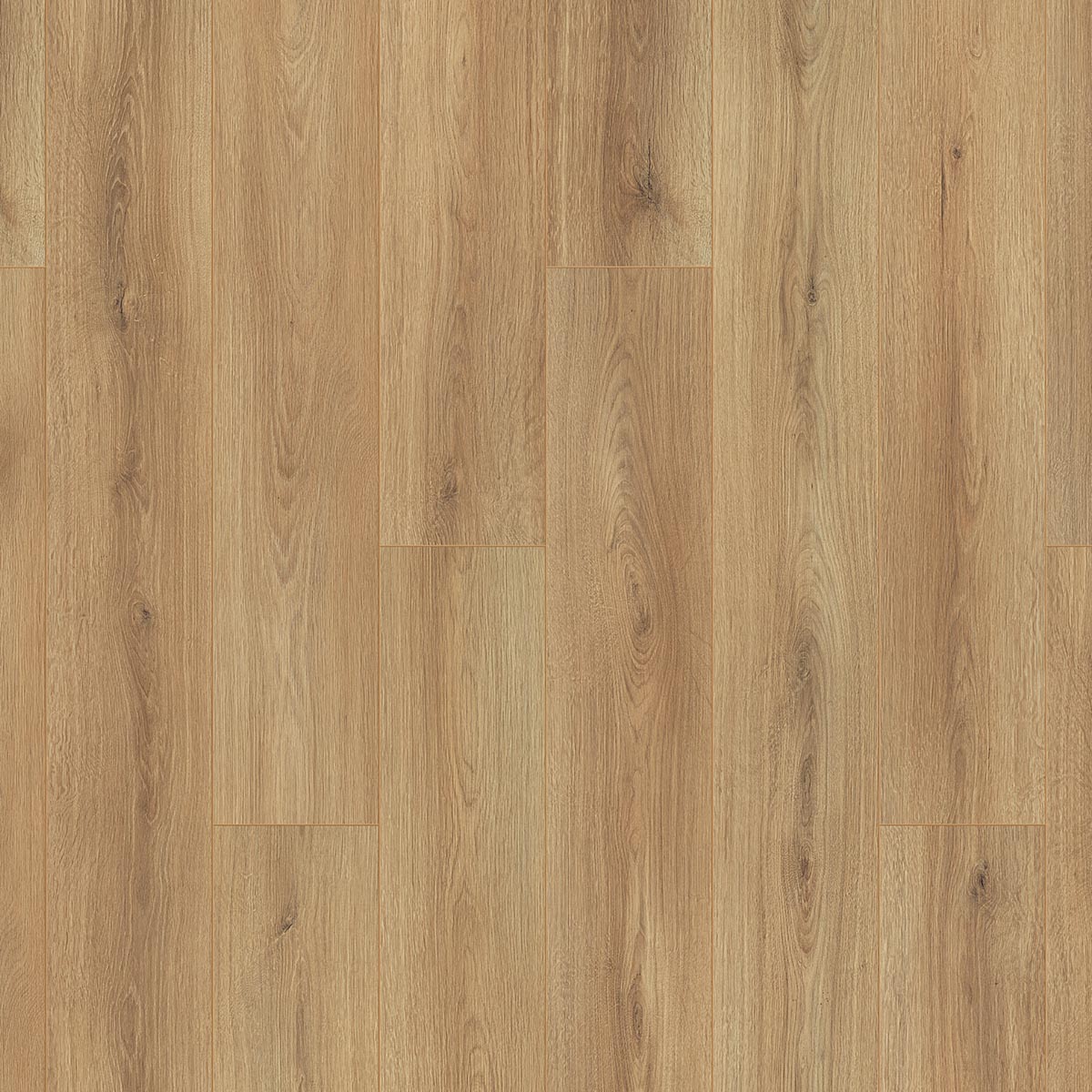 OTIUM Amber taupe