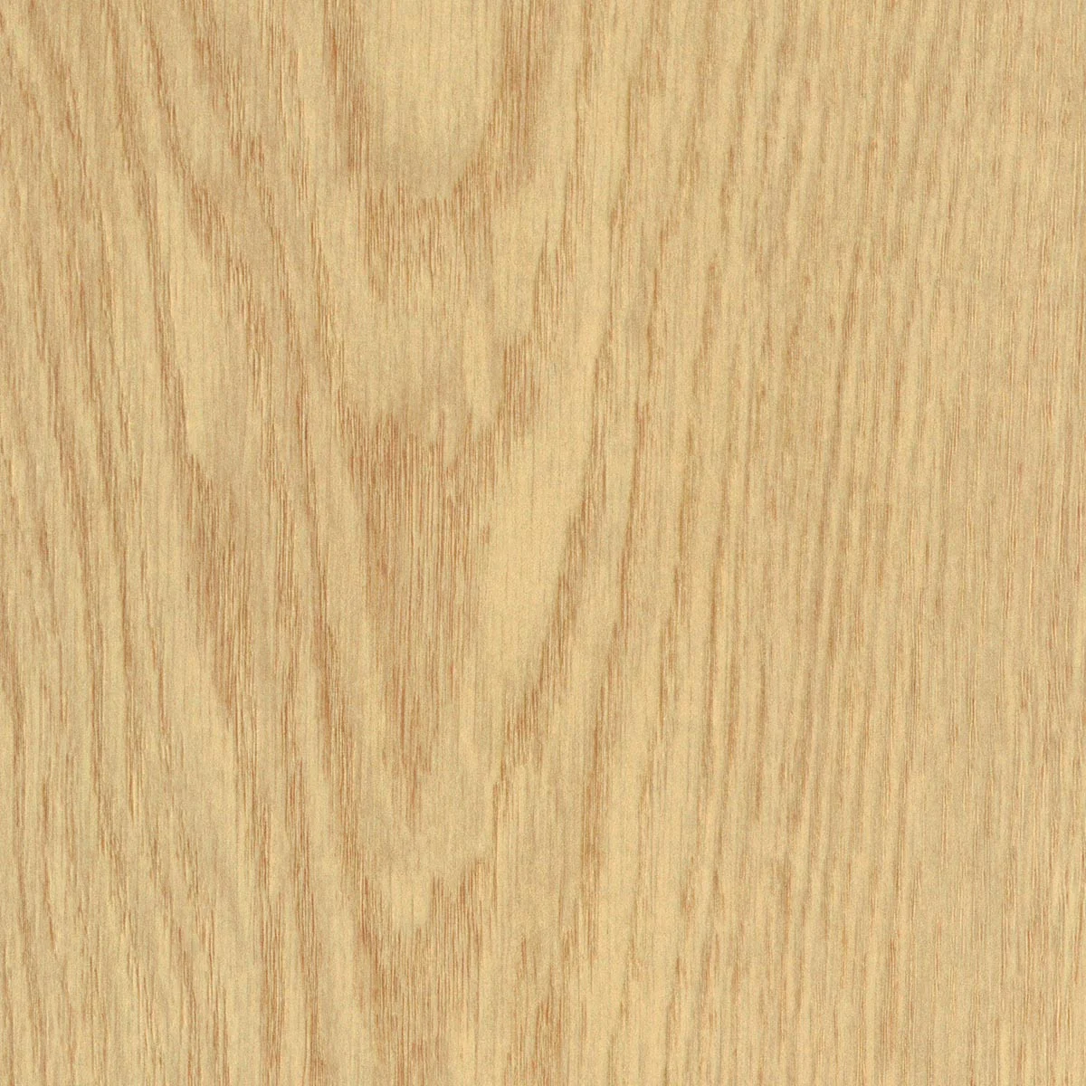OTIUM Calyx mist