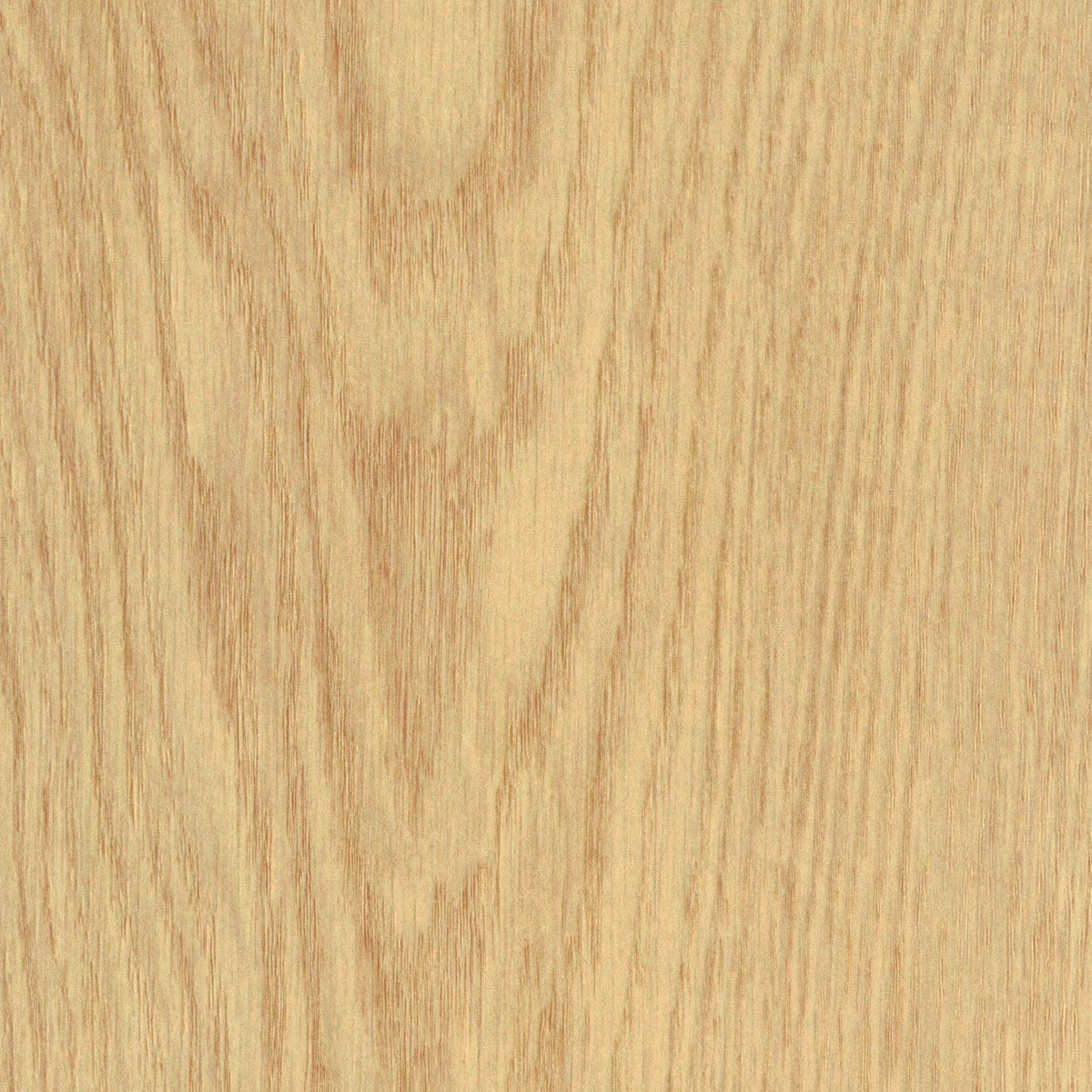OTIUM Calyx mist