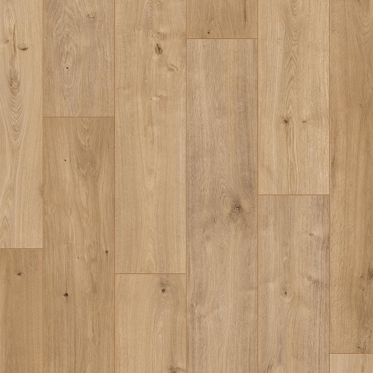 OTIUM Spice warm