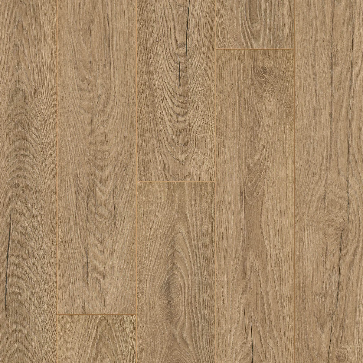 OTIUM Ritual taupe