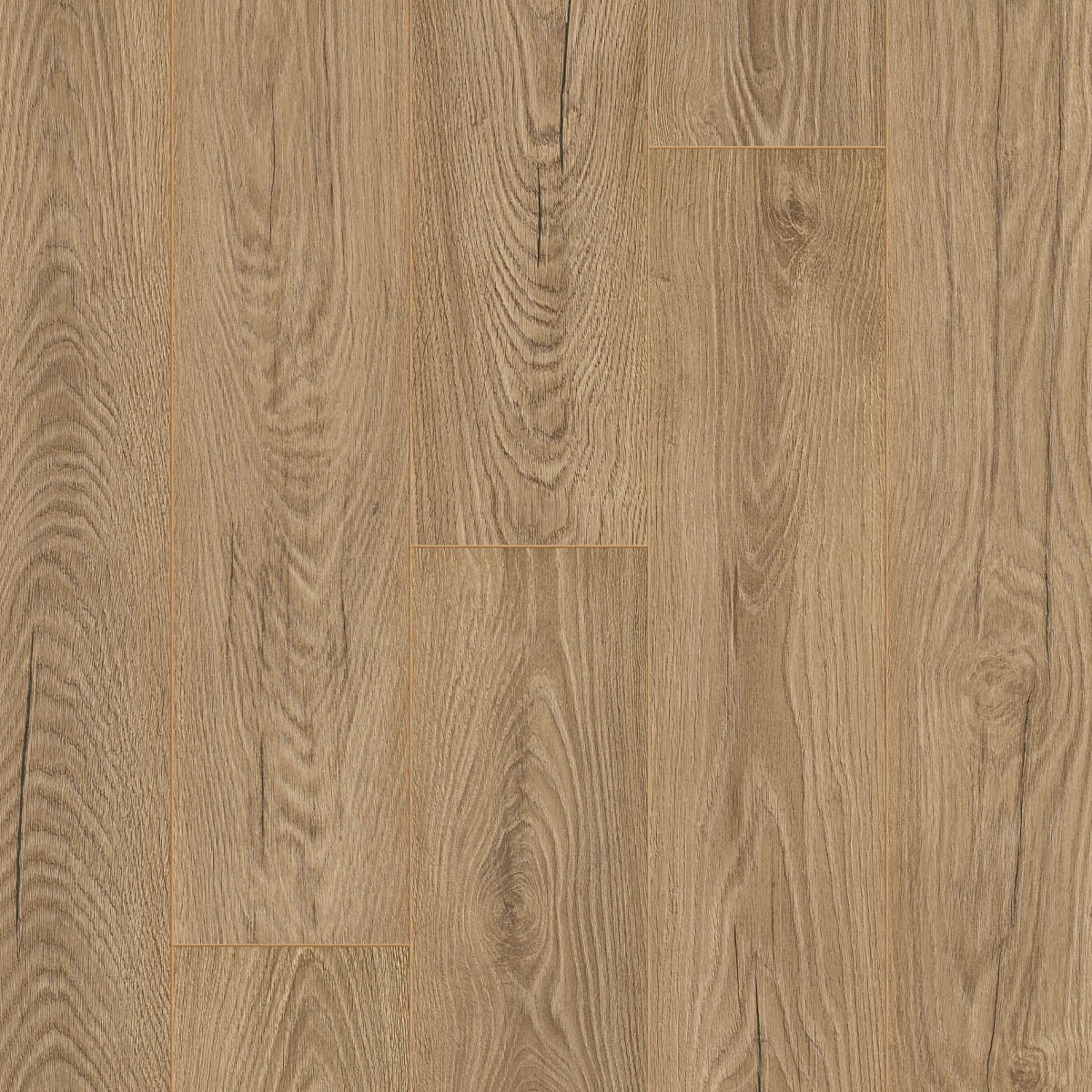 OTIUM Ritual taupe