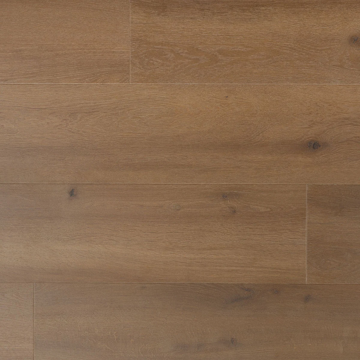 DD solide brede plank oregano - 24,4 cm, PB 4V