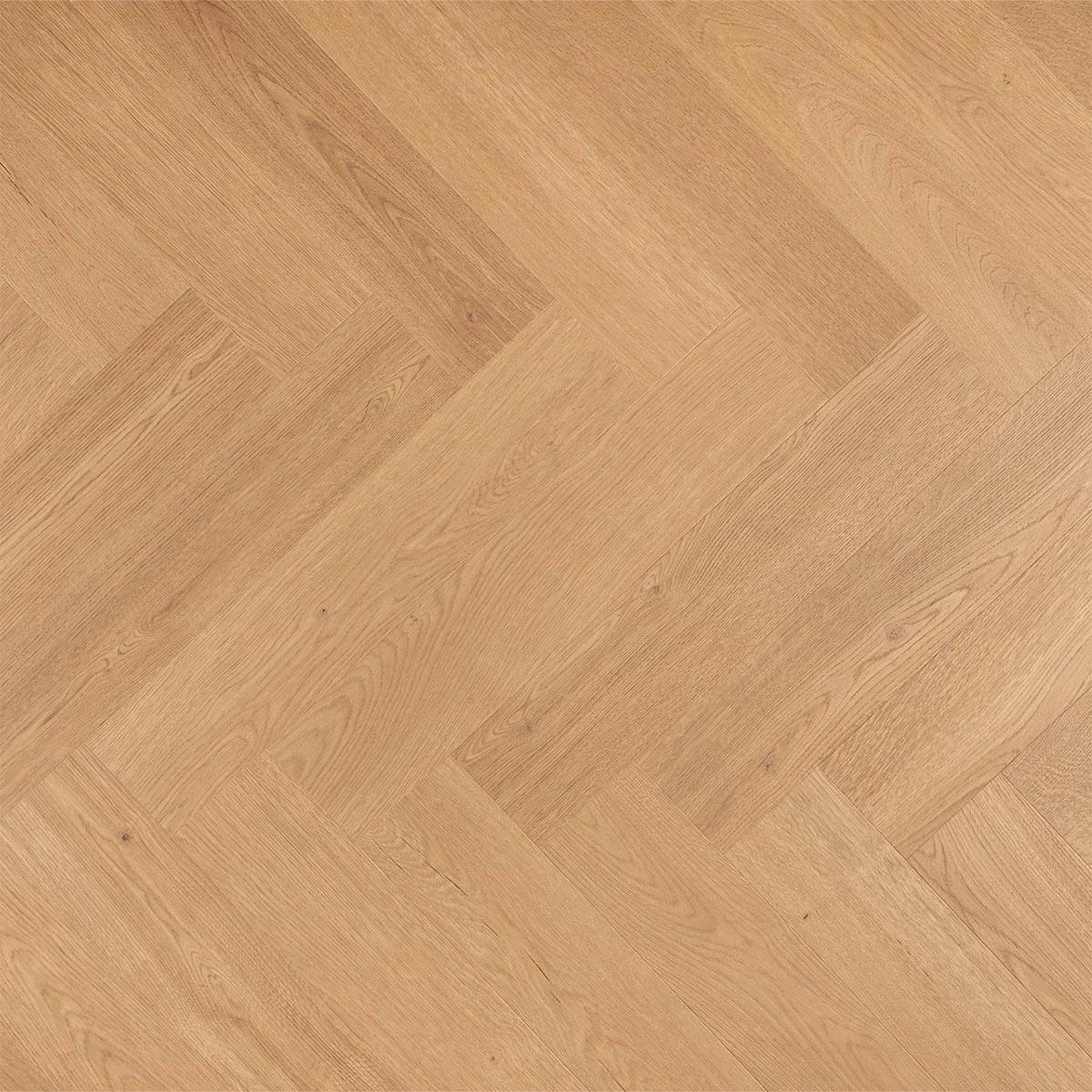 DD Visgraat Cashew - PB 4V