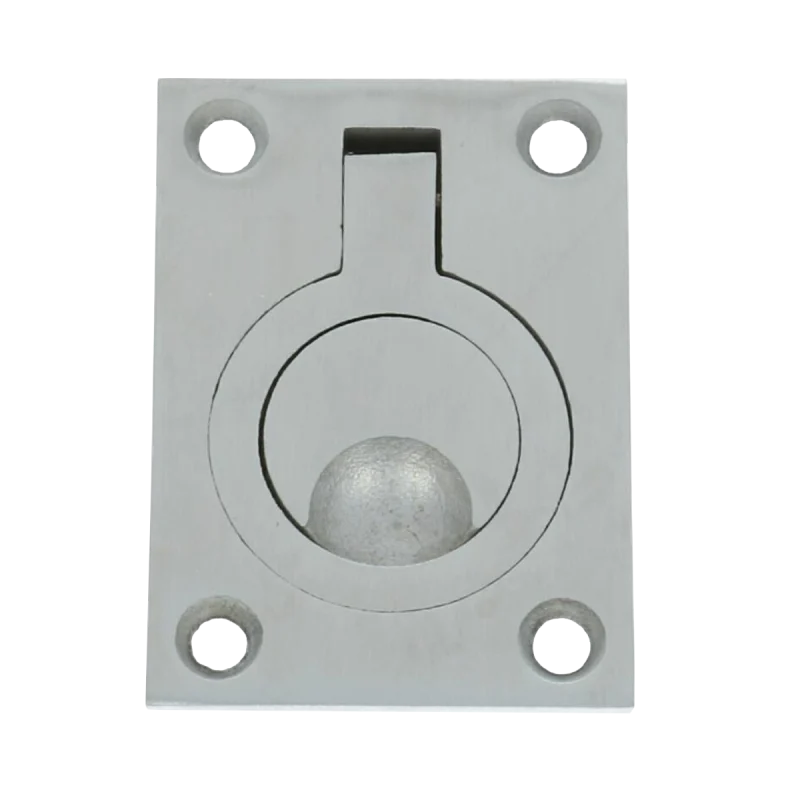 Luikring rond RVS 48 x 62 mm