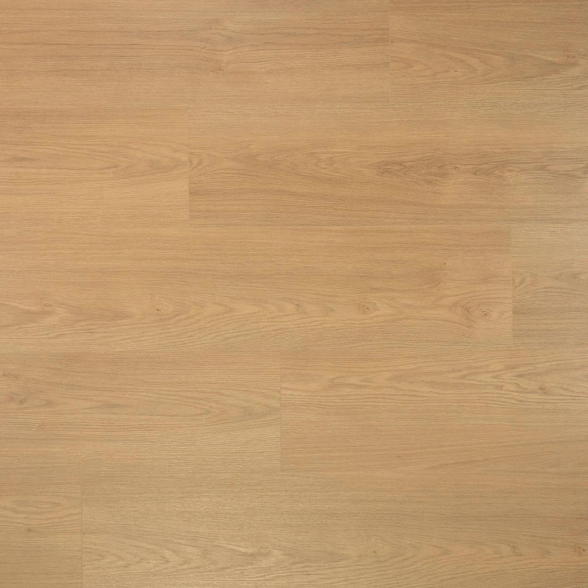 DD Extra lange plank Kaviaar 8 mm, 24,3 cm, 4MV