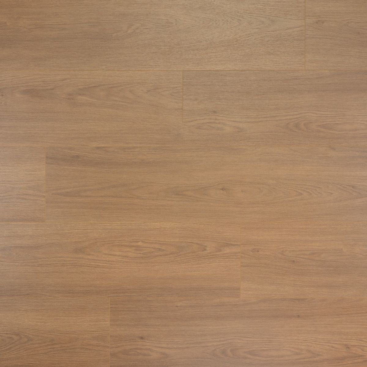 DD Extra lange plank Olijf 8 mm, 24,3 cm, 4MV