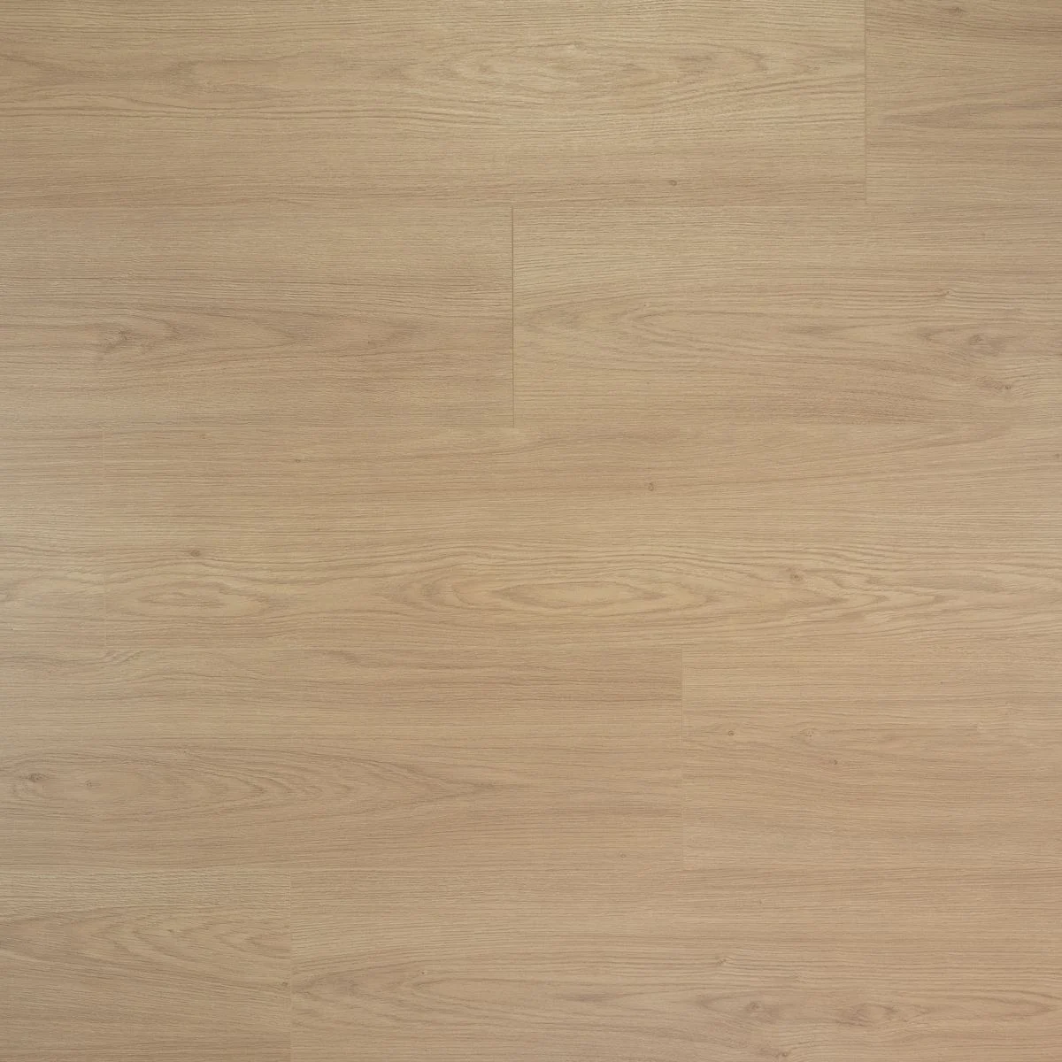 DD Extra lange plank Truffel 8 mm, 24,3 cm, 4MV