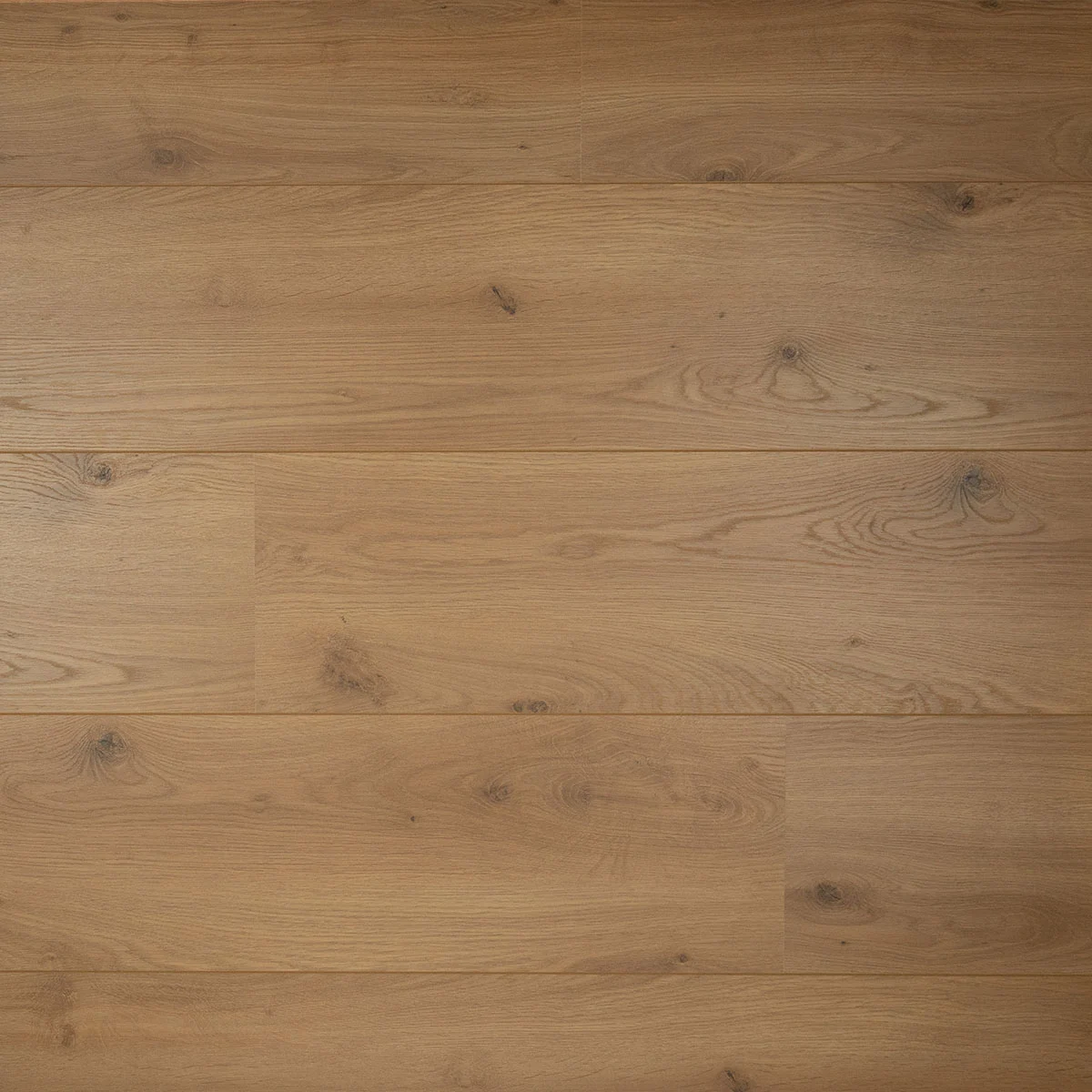 DD Brede plank Peterselie - 24,3 cm, 2V